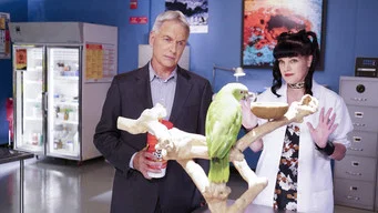 Морская полиция: Спецотдел — 14 сезон, 3 серия