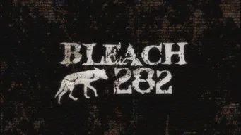 Блич — 1 сезон, 282 серия