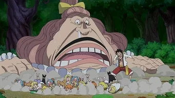 Ван-Пис — 18 сезон, 796 серия