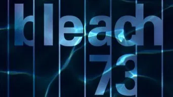 Блич — 1 сезон, 73 серия