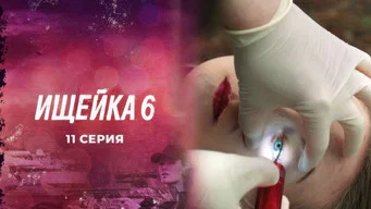 Ищейка — 6 сезон, 11 серия