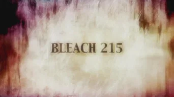 Блич — 1 сезон, 215 серия