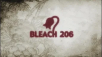 Блич — 1 сезон, 206 серия