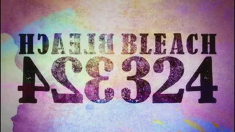 Блич — 1 сезон, 324 серия