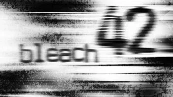Блич — 1 сезон, 42 серия