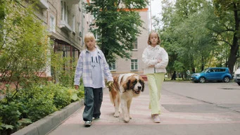 Папины дочки. Новые — 2 сезон, 17 серия