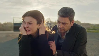 Далекий город — 2 сезон, 24 серия