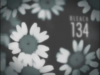 Блич — 1 сезон, 134 серия