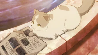 Кот и дракон — Эпизод 8