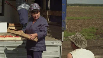 Сваты — 5 сезон, 13 серия