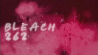 Блич — 1 сезон, 262 серия