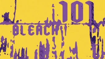 Блич — 1 сезон, 101 серия