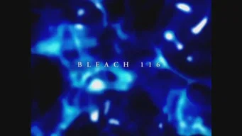 Блич — 1 сезон, 116 серия