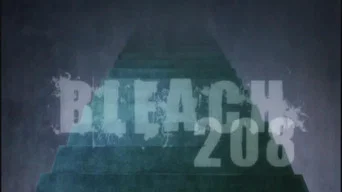 Блич — 1 сезон, 208 серия