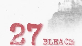Блич — 1 сезон, 27 серия
