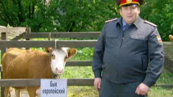 Воронины — 4 сезон, 19 серия