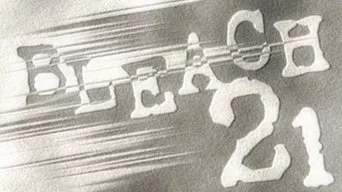 Блич — 1 сезон, 21 серия