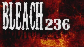 Блич — 1 сезон, 236 серия
