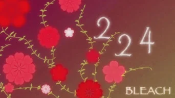 Блич — 1 сезон, 224 серия