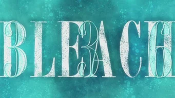 Блич — 1 сезон, 336 серия