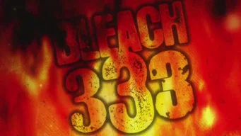 Блич — 1 сезон, 333 серия
