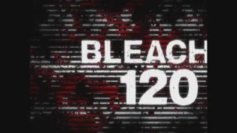 Блич — 1 сезон, 120 серия