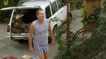 Сваты — 4 сезон, 12 серия
