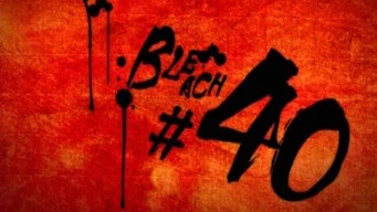Блич — 1 сезон, 40 серия