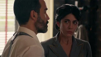 Лето 36 — Лето 36