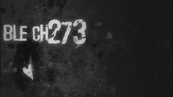Блич — 1 сезон, 273 серия
