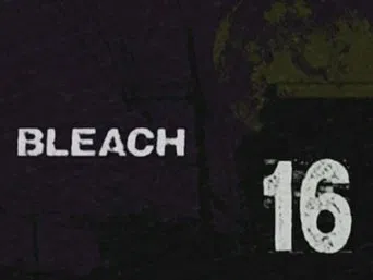 Блич — 1 сезон, 16 серия